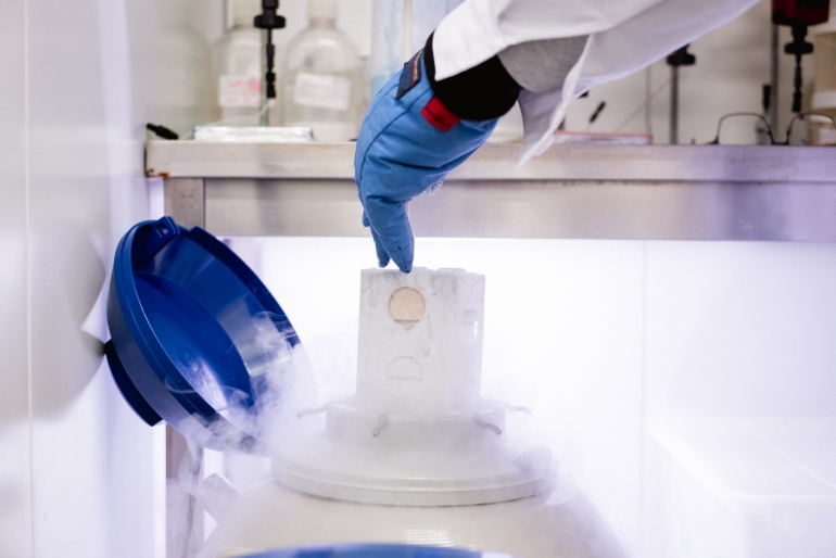 Bioactivity_Rodon_Biologics